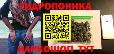 шишки Пугачёв