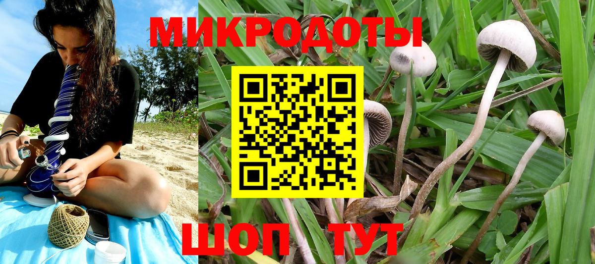 Галлюциногенные грибы мухоморы  Вход с VPN  Галлюциногенные грибы MAGIC MUSHROOMS  Александров 