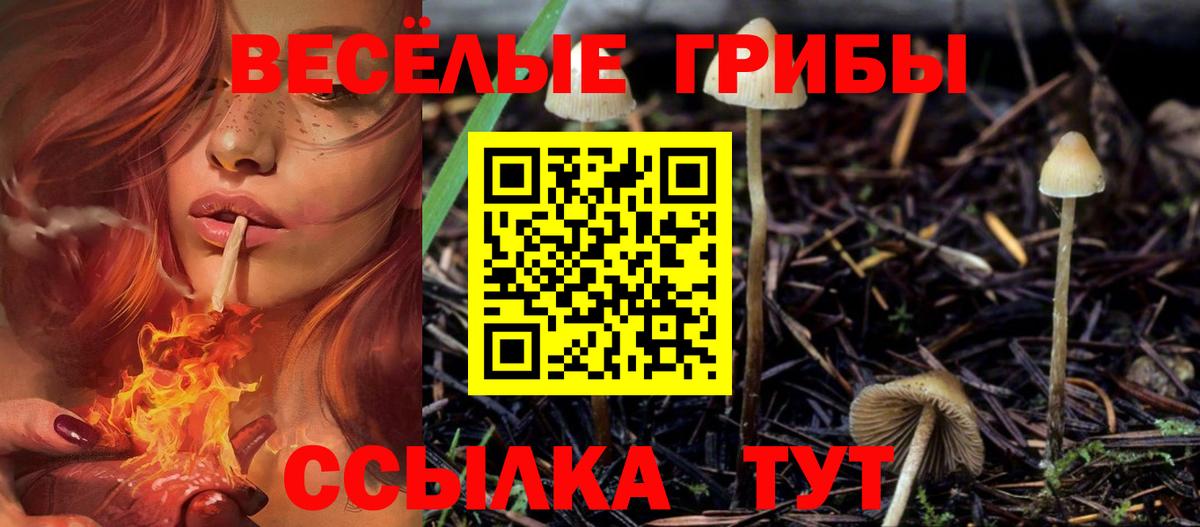 Псилоцибиновые грибы прущие грибы Александров