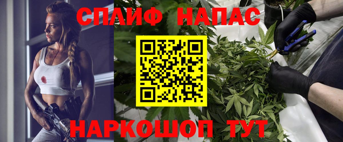 Бошки марихуана ГИДРОПОН Александров