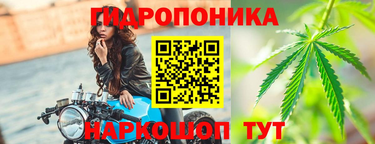 Бошки марихуана VHQ  Вход с VPN  Канабис марихуана  Александров 